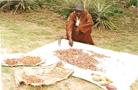 Agricultural support for local farmers