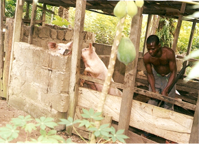 Sustainable agriculture for a healthier future